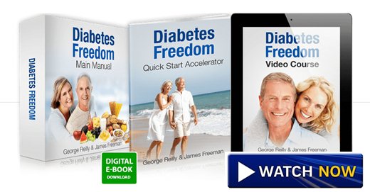 Diabetes Freedom Main Manual Ebook